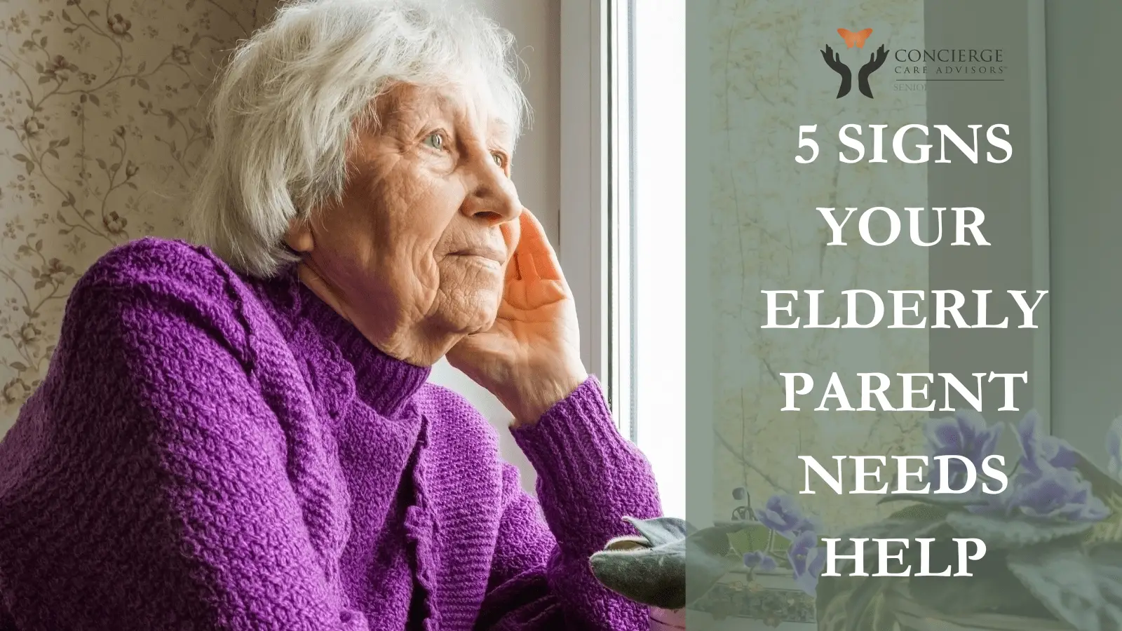 5 Signs Your Elderly Parent Needs Help