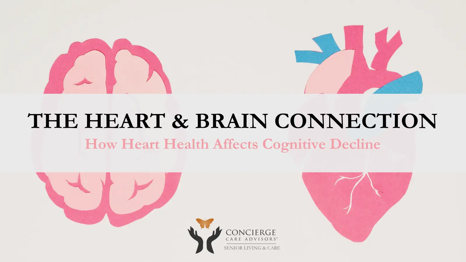 The Heart & Brain Connection: How Heart Health Affects Cognitive Decline