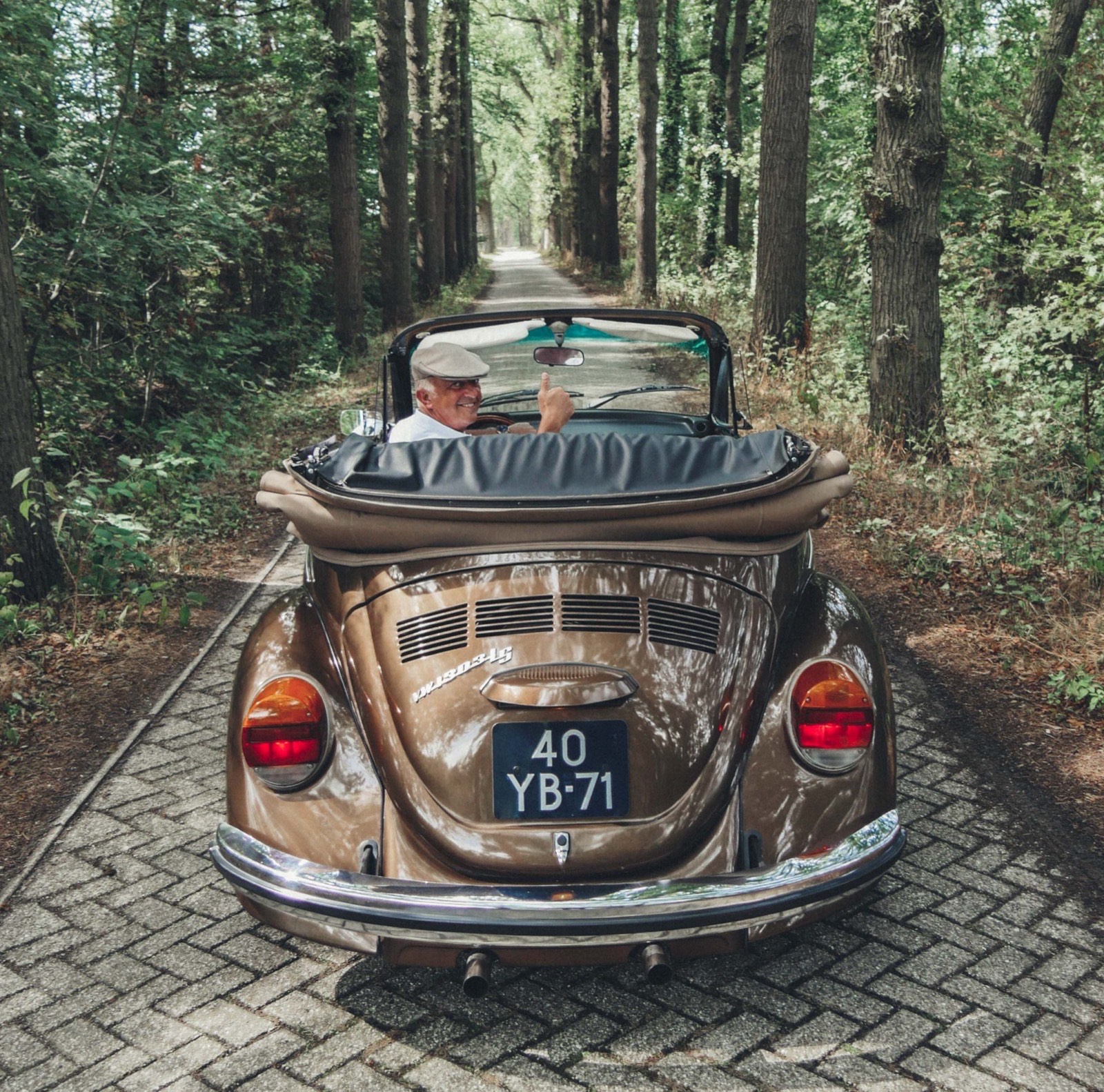 Senior Transportation Solutions: Mobility Options