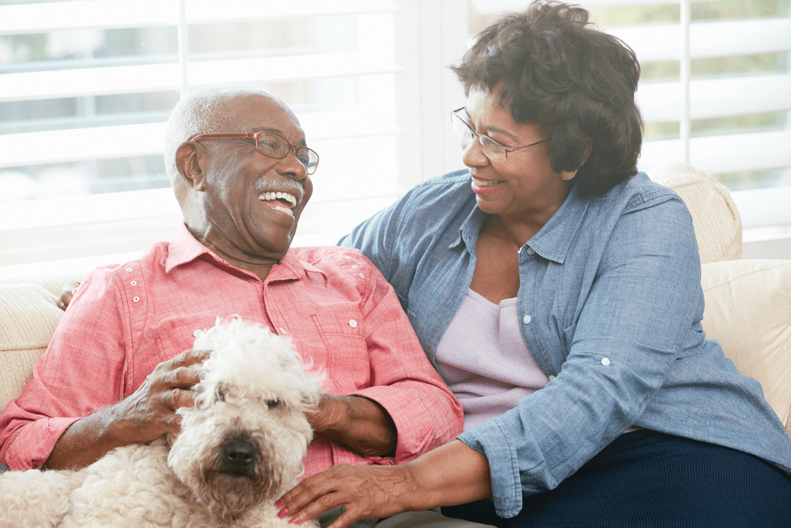 Therapeutic Powers of Animals for Seniors
