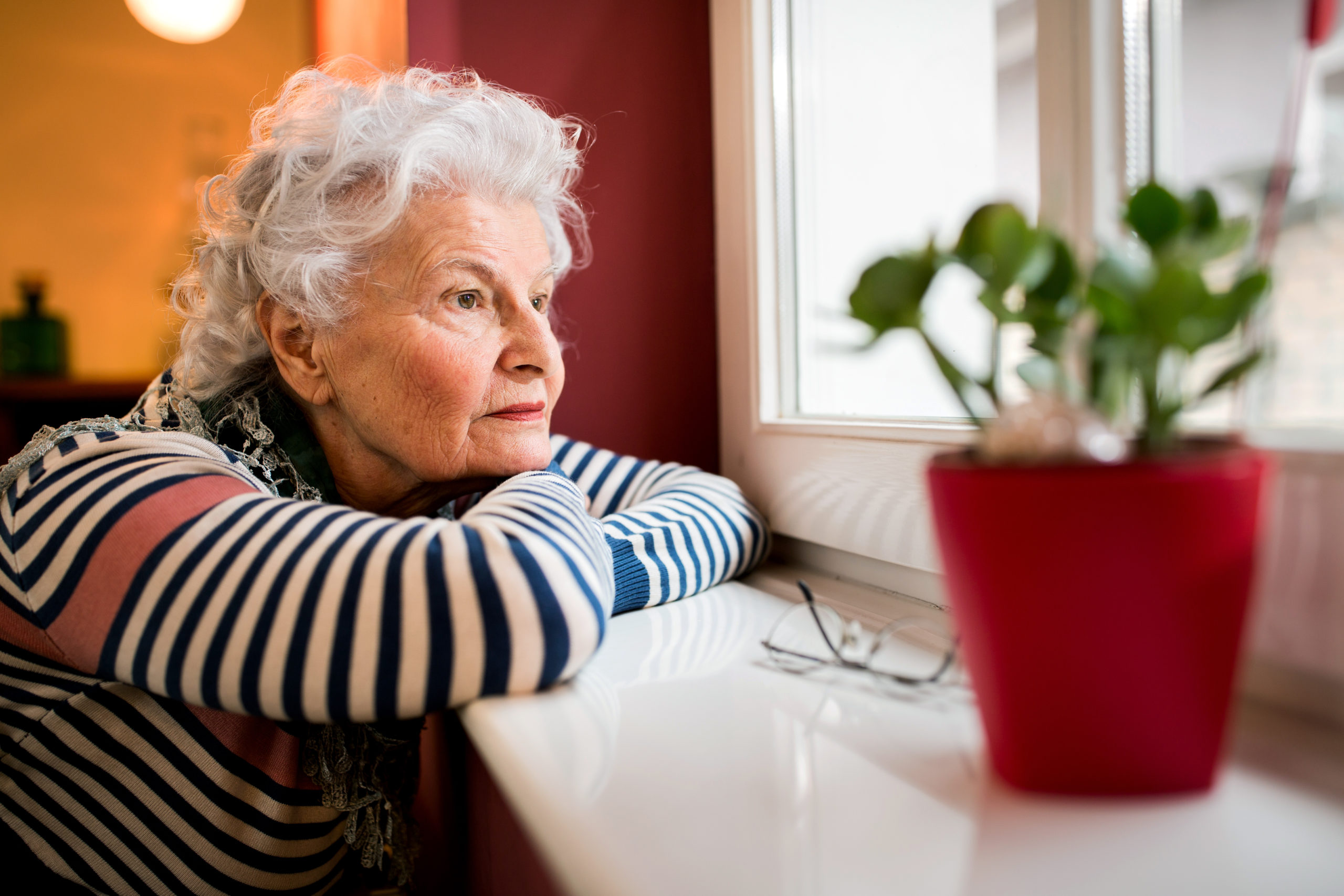 Stay Connected to Seniors